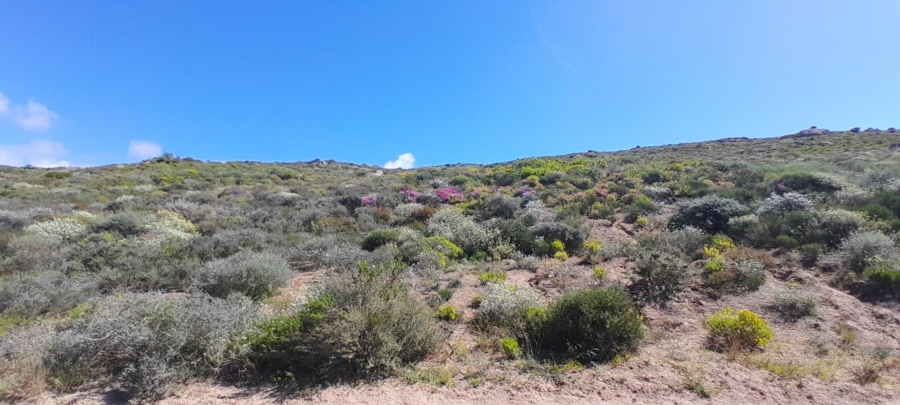 0 Bedroom Property for Sale in St Helena Views Western Cape